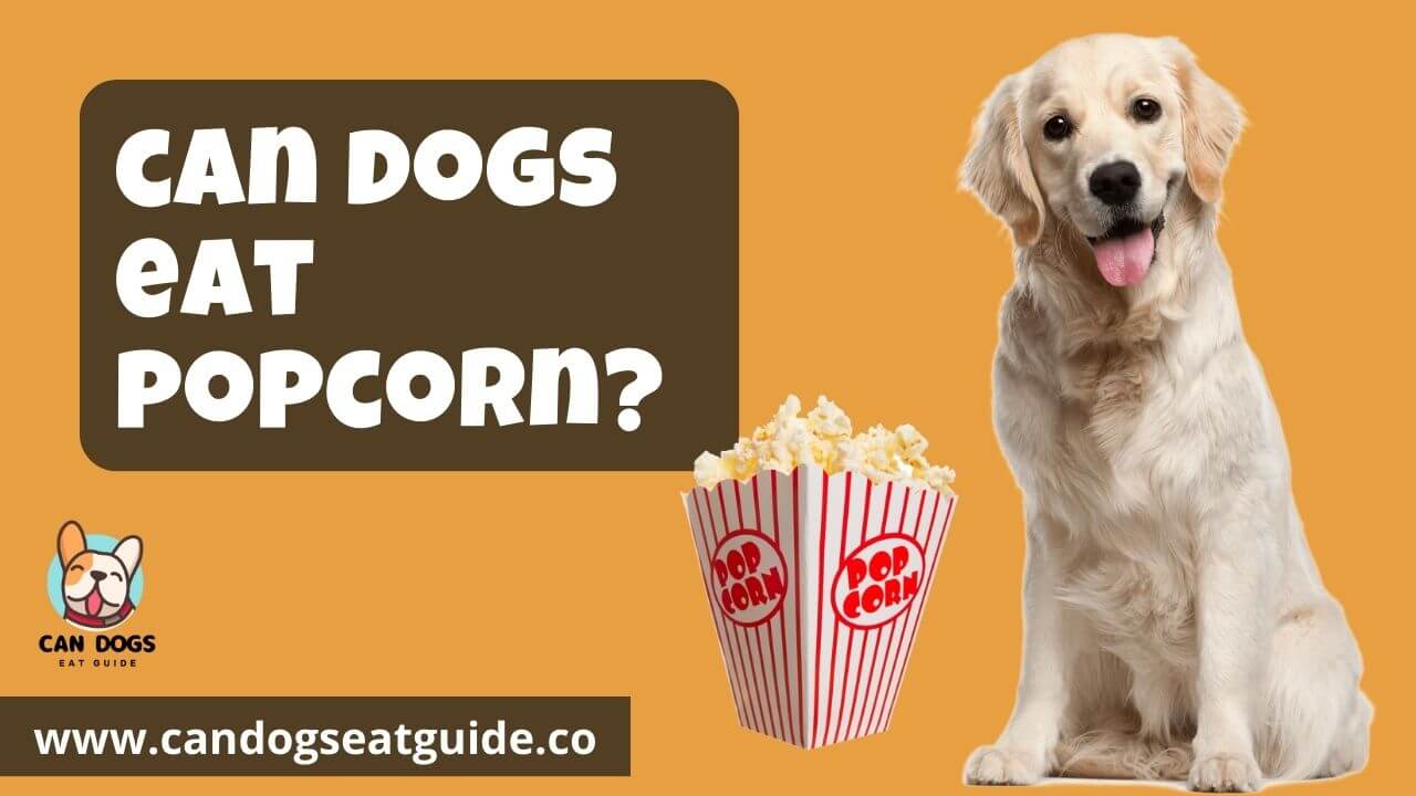 Can Dogs Eat Popcorn