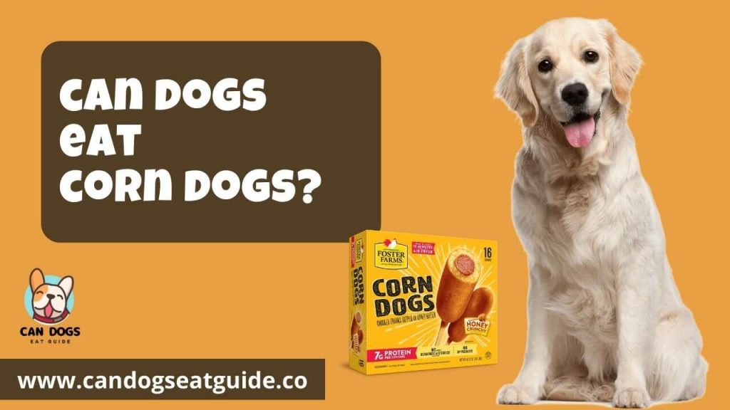 Can Dogs Eat Corn Dogs