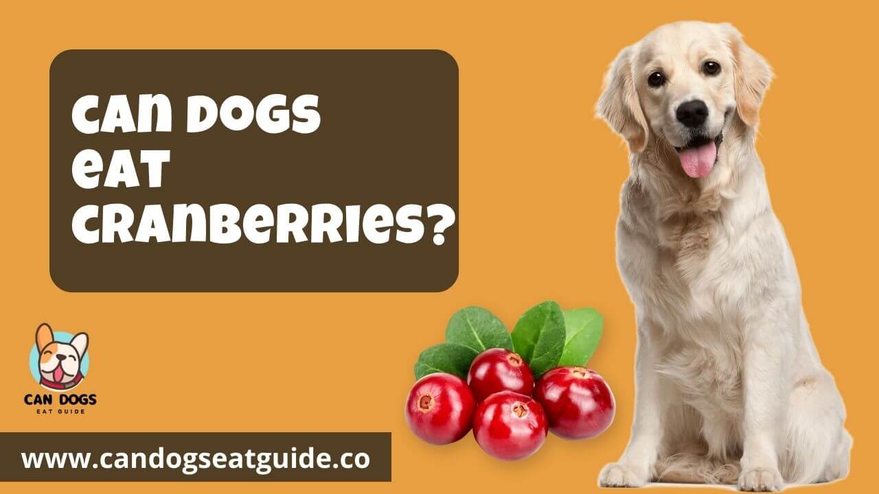Can Dogs Eat Cranberries