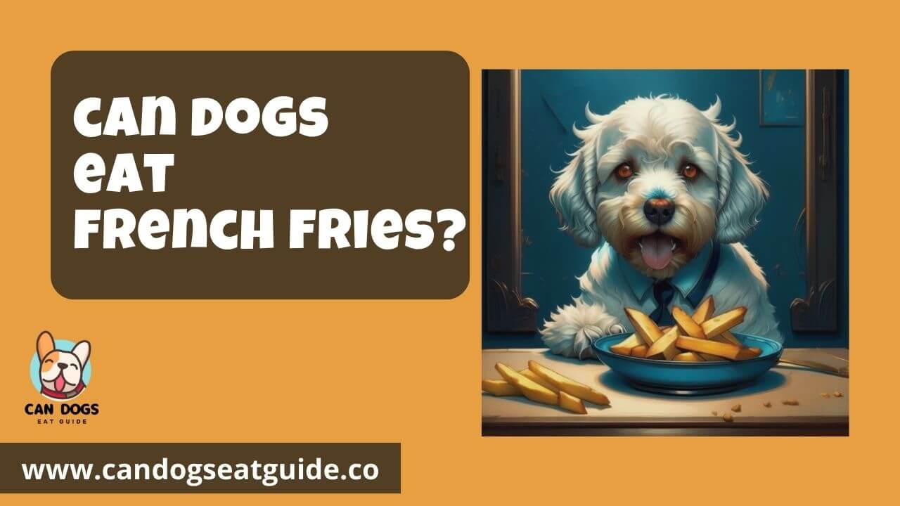 Can Dogs Eat French Fries