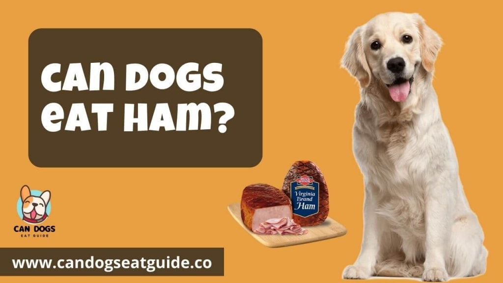 Can Dogs Eat Ham