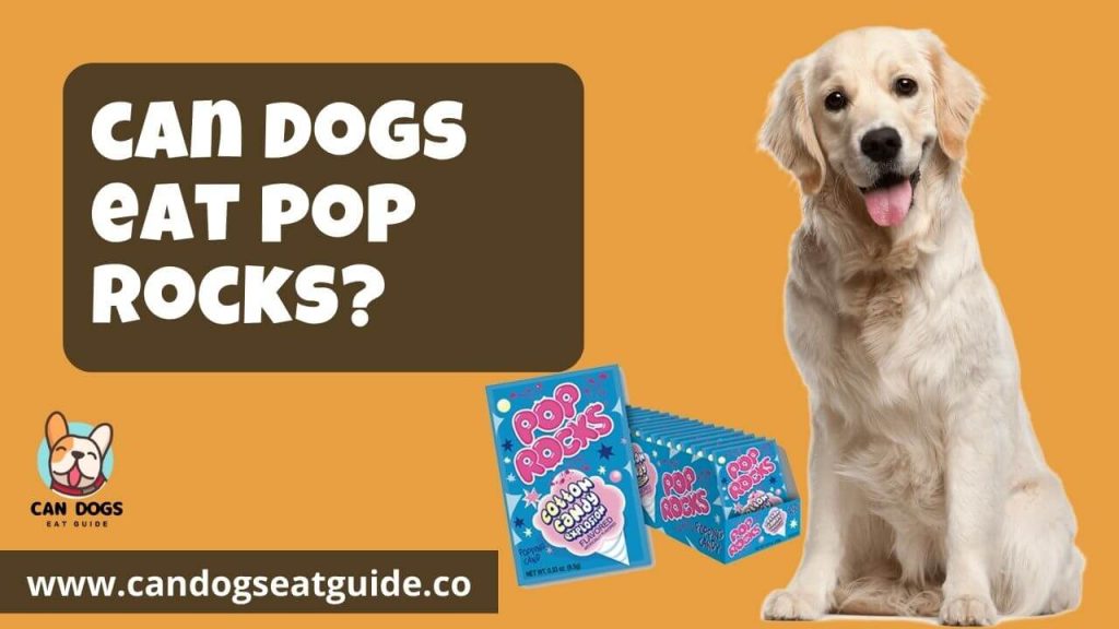 Can Dogs Eat Pop Rocks