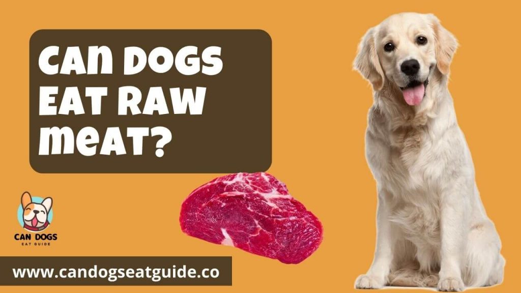 Can Dogs Eat Raw Meat