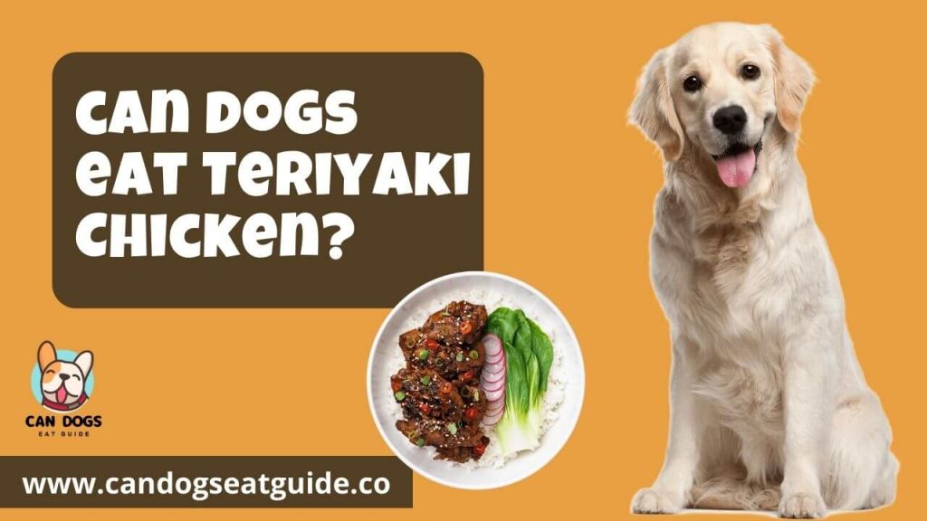 Can Dogs Eat Teriyaki Chicken