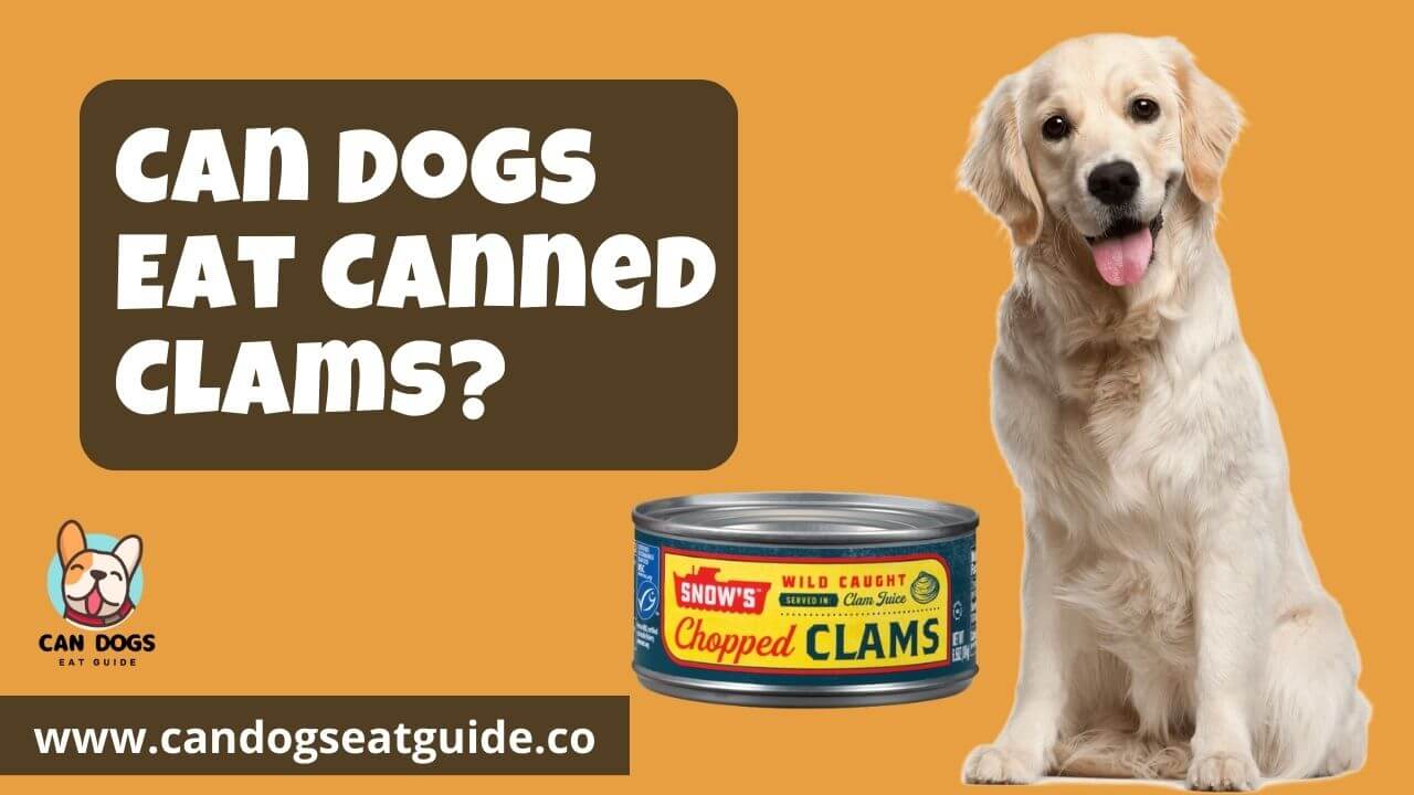 Can Dogs Eat Canned Clams