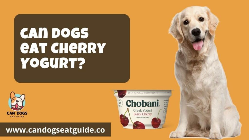 Can Dogs Eat Cherry Yogurt