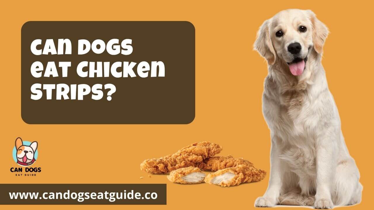 Can Dogs Eat Chicken Strips
