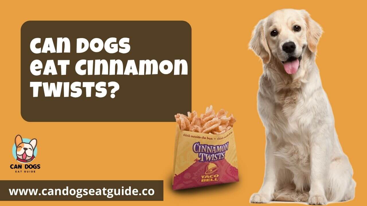 Can Dogs Eat Cinnamon Twists