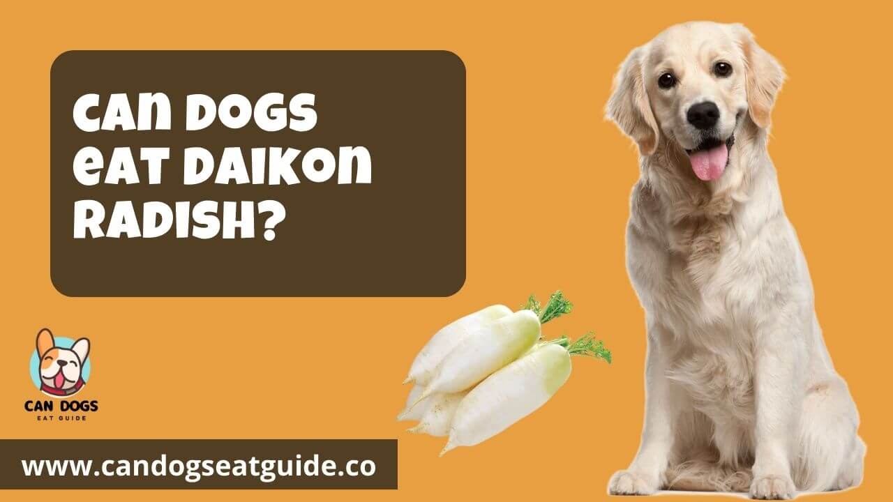 Can Dogs Eat Daikon Radish