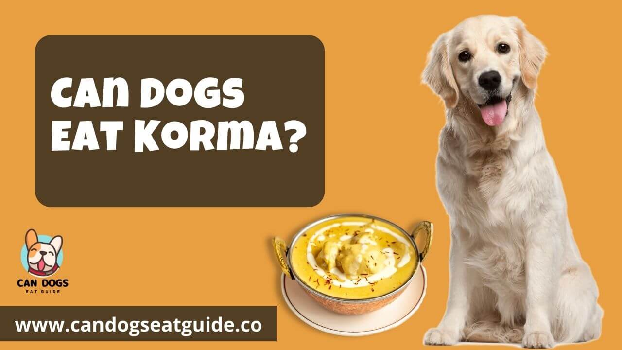 Can Dogs Eat Korma