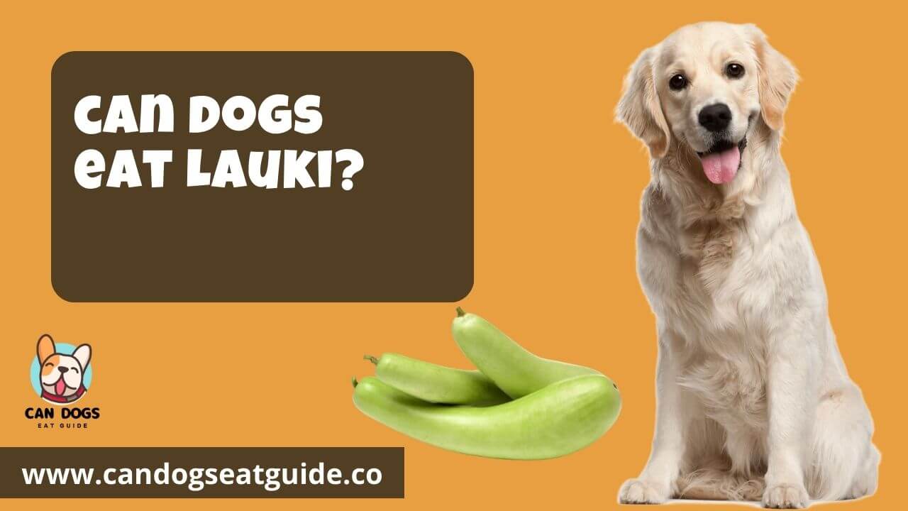 Can Dogs Eat Lauki