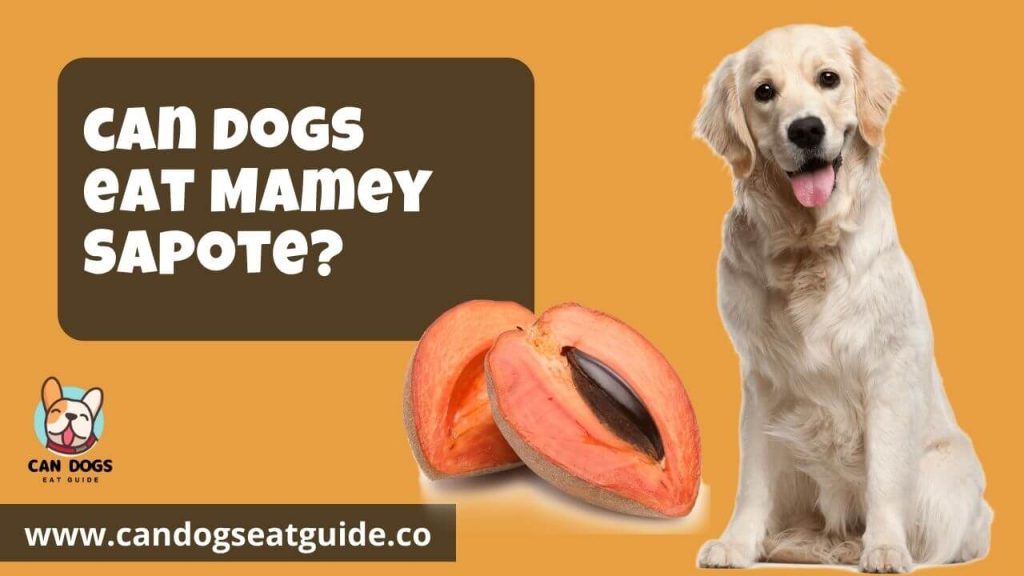 Can Dogs Eat Mamey Sapote