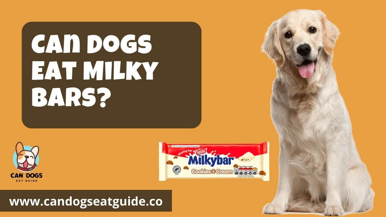 Can Dogs Eat Milky Bars