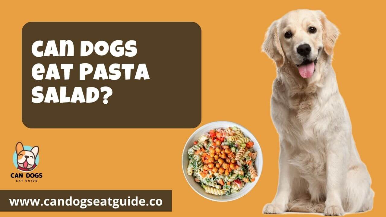 Can Dogs Eat Pasta Salad