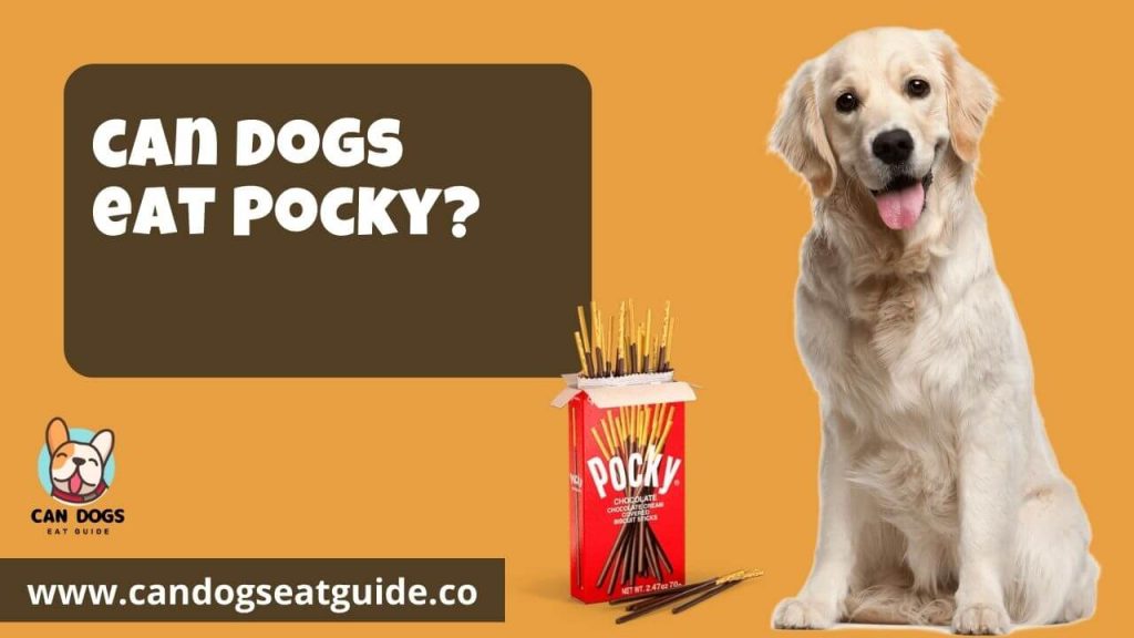 Can Dogs Eat Pocky