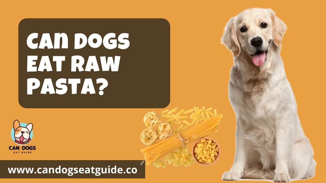 Can Dogs Eat Raw Pasta