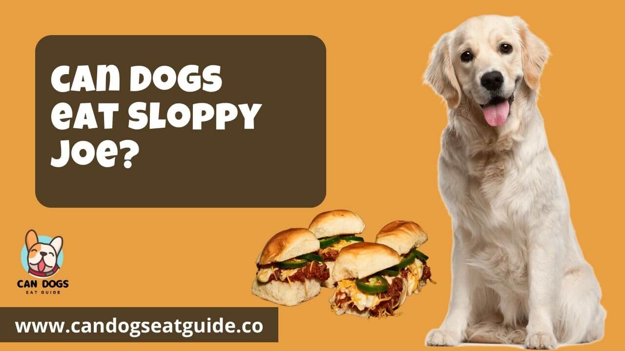 Can Dogs Eat Sloppy Joe