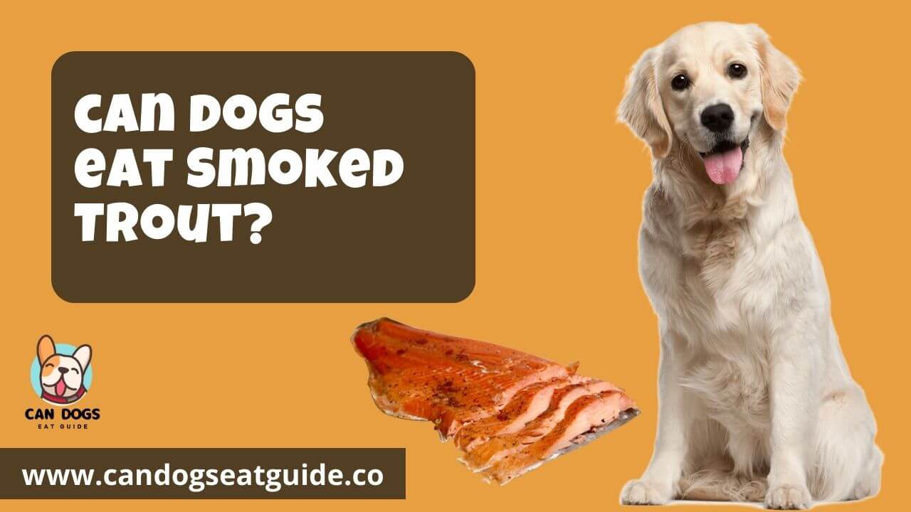 Can Dogs Eat Smoked Trout