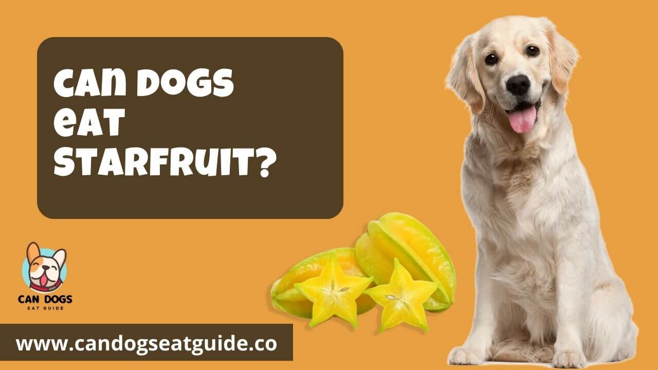 Can Dogs Eat Starfruit