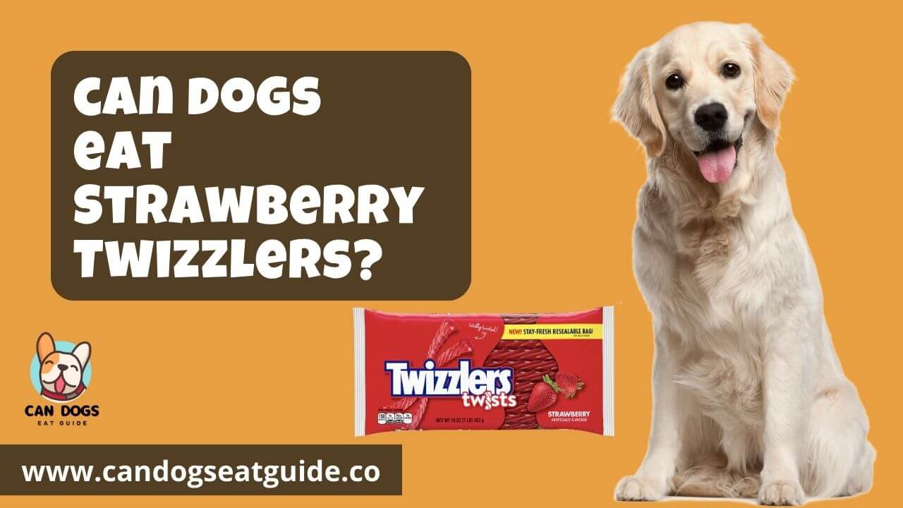 Can Dogs Eat Strawberry Twizzlers