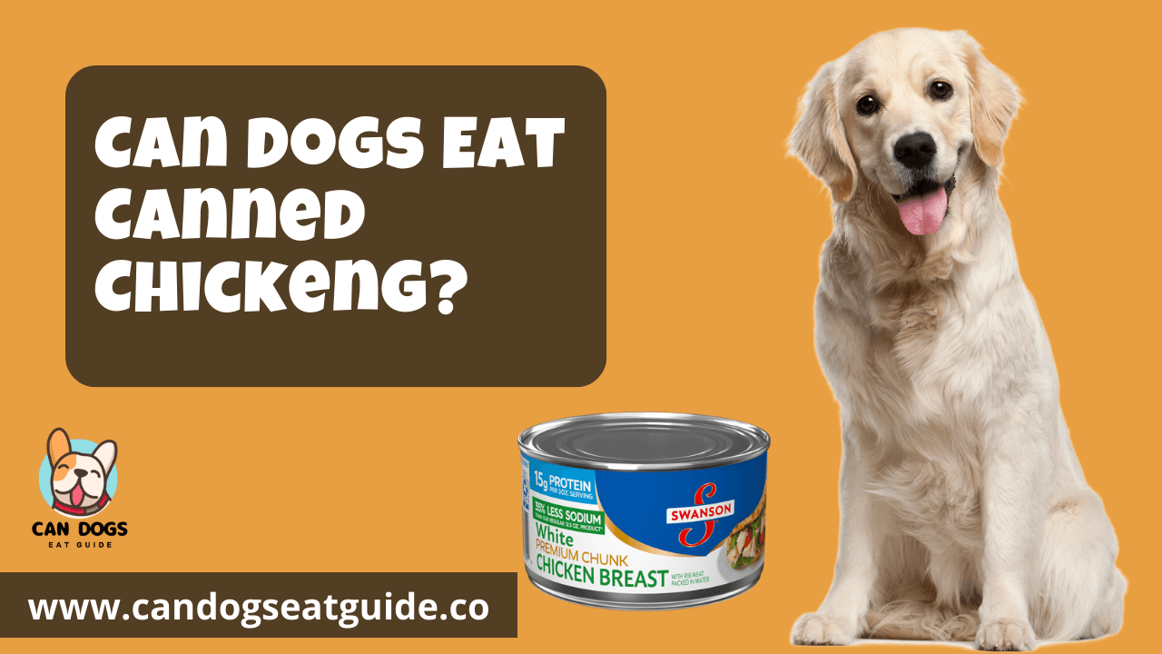 Can Dogs Eat Canned Chicken