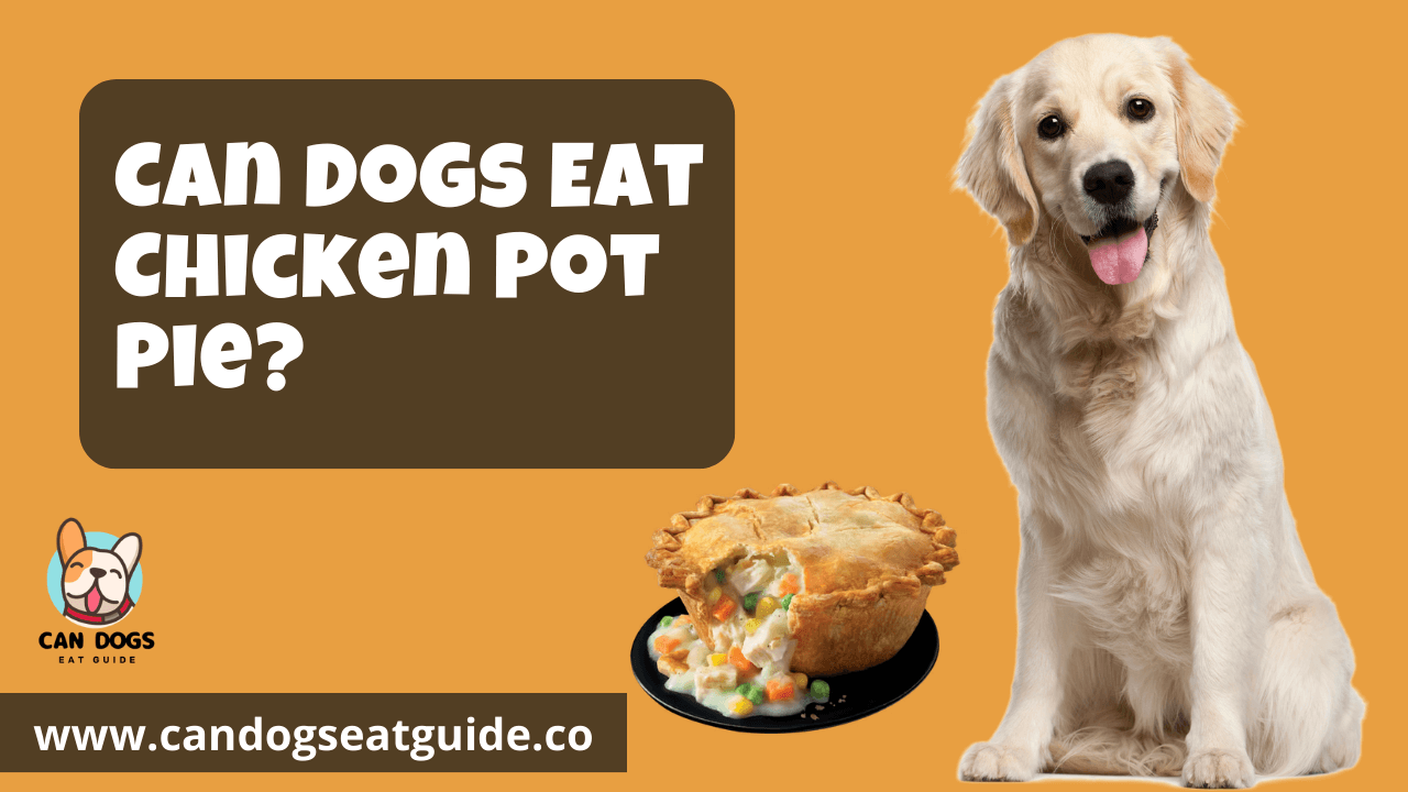 Can Dogs Eat Chicken Pot Pie