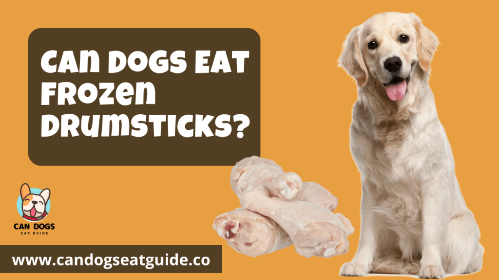 Can Dogs Eat Frozen Drumsticks