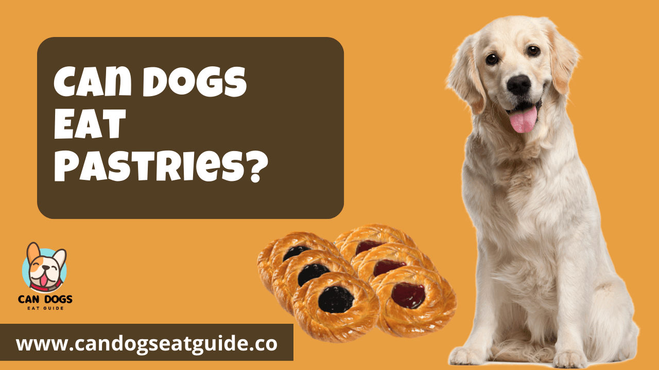 Can Dogs Eat Pastries