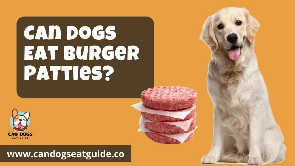 Can Dogs Eat Burger Patties