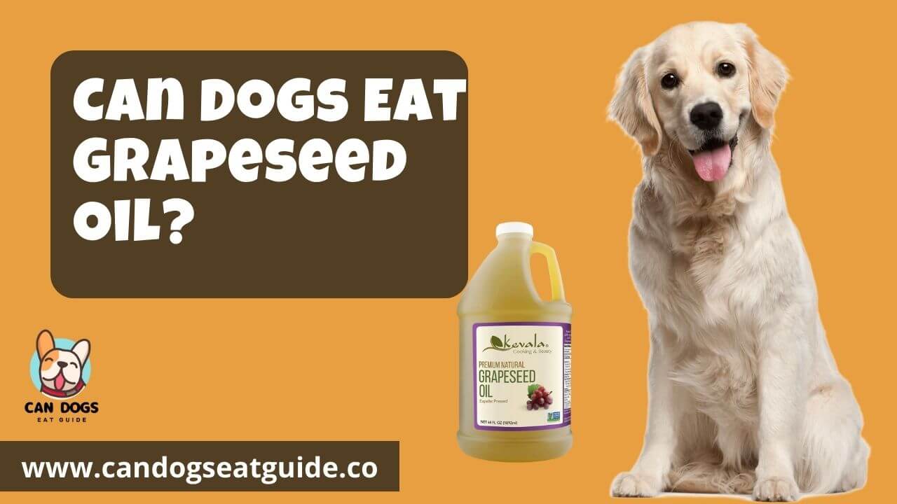 Can Dogs Eat Grapeseed Oil