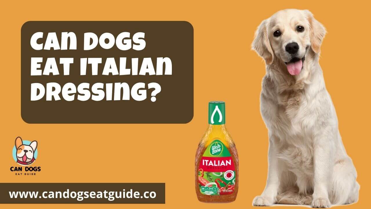 Can Dogs Eat Italian Dressing