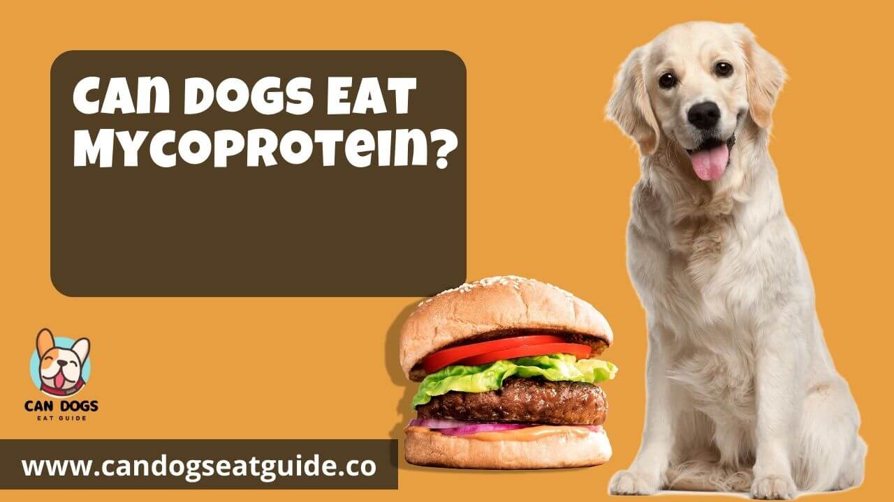 Can Dogs Eat Mycoprotein
