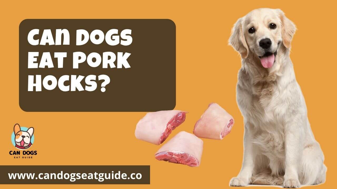 Can Dogs Eat Pork Hocks