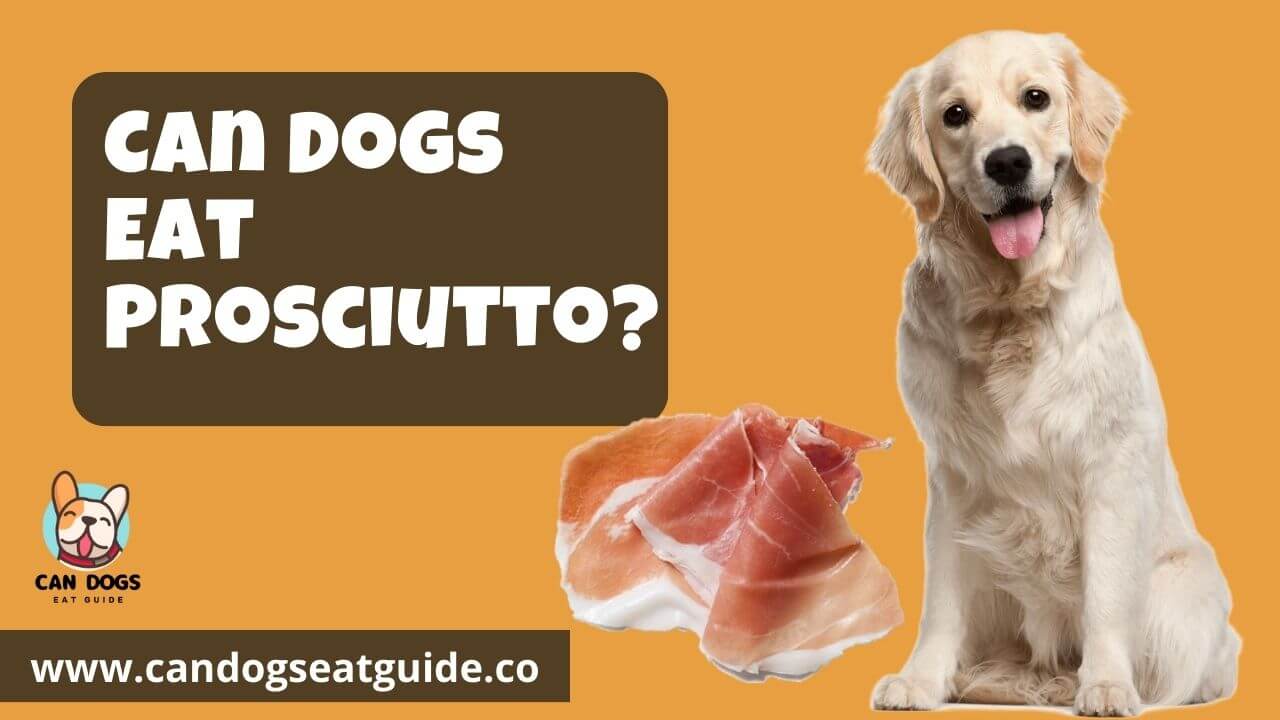 Can Dogs Eat Prosciutto